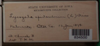 Image Associated With the Occurence